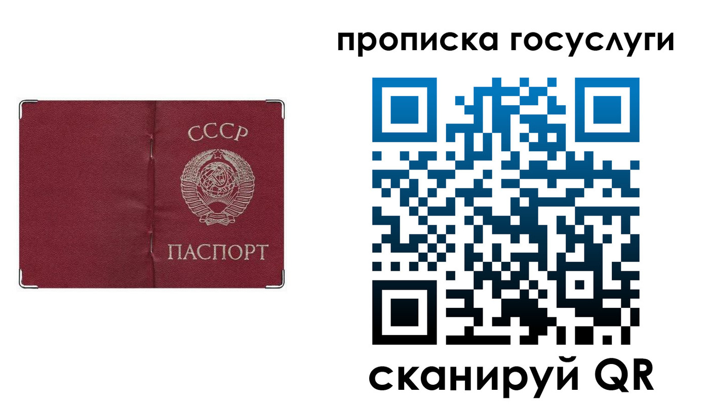 прописка ребенка в Лосино-Петровском