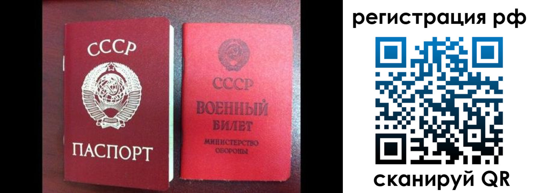 прописка для работы в Лосино-Петровском